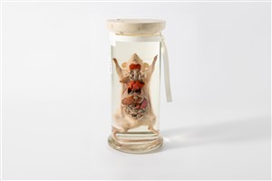 Image description is not available for 2003.10.9